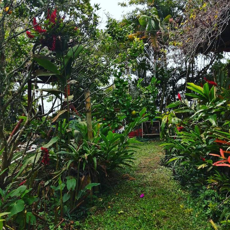 Agradable casa de Campo Villa Maruja. - Chalet - 73