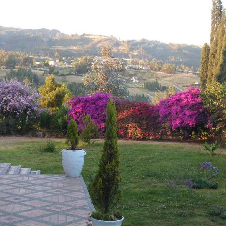 ARCOS DE LA LOMA - Casa de 3 dormitorios - 19