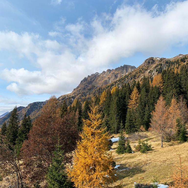 Appartamento San Pellegrino - Appartamento con 2 Camere da Letto - 28