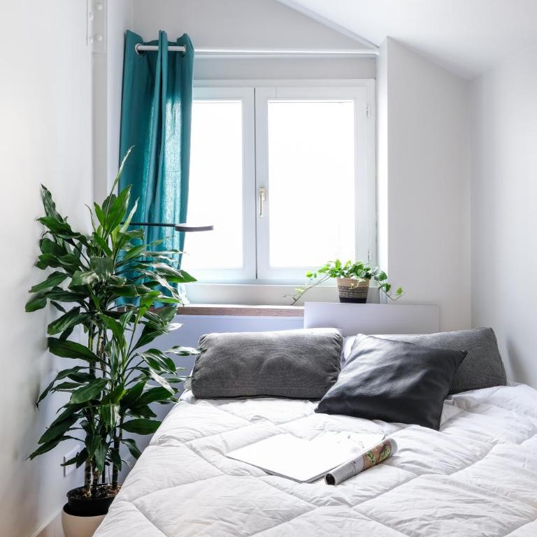 trendy flat-lyon centre-hotel de ville - Appartement 3 Chambres - 15