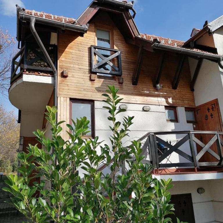 Apartment Carolija Zlatibor - Apartman sa 1 Spavaćom Sobom i Kaminom - 5