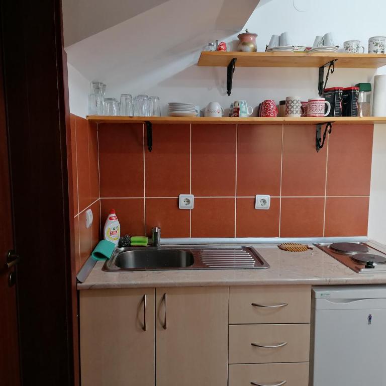 Apartment Carolija Zlatibor - Apartman sa 1 Spavaćom Sobom i Kaminom - 29