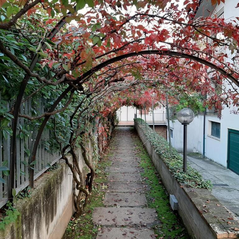 Appartamento Genziana - con vista piscina e garage - Appartamento con 2 Camere da Letto - 37