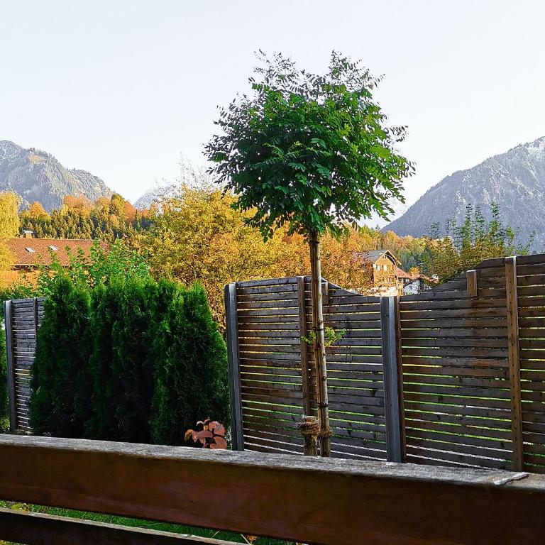 Gästehaus zur Färbe Apartments - Apartment mit 1 Schlafzimmer und Terrasse - 2
