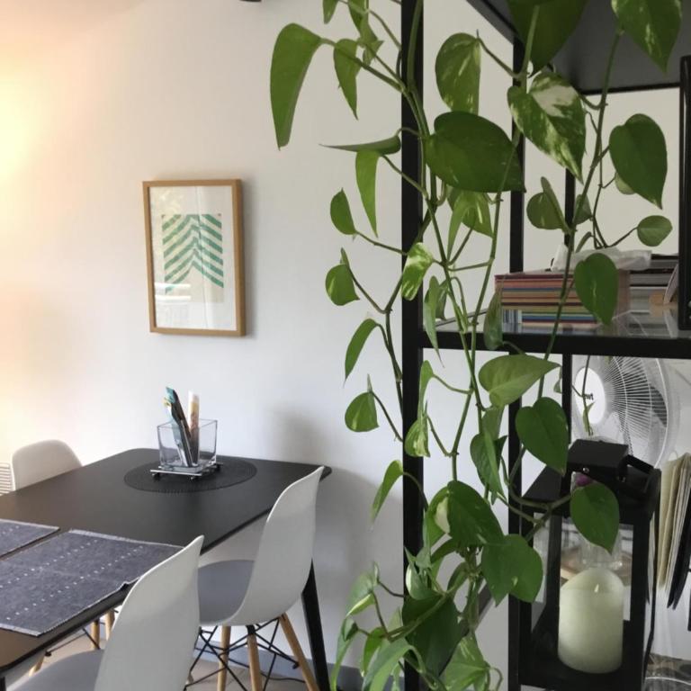 Charming Duplex with Terrace Historical City Center - Appartamento - 9