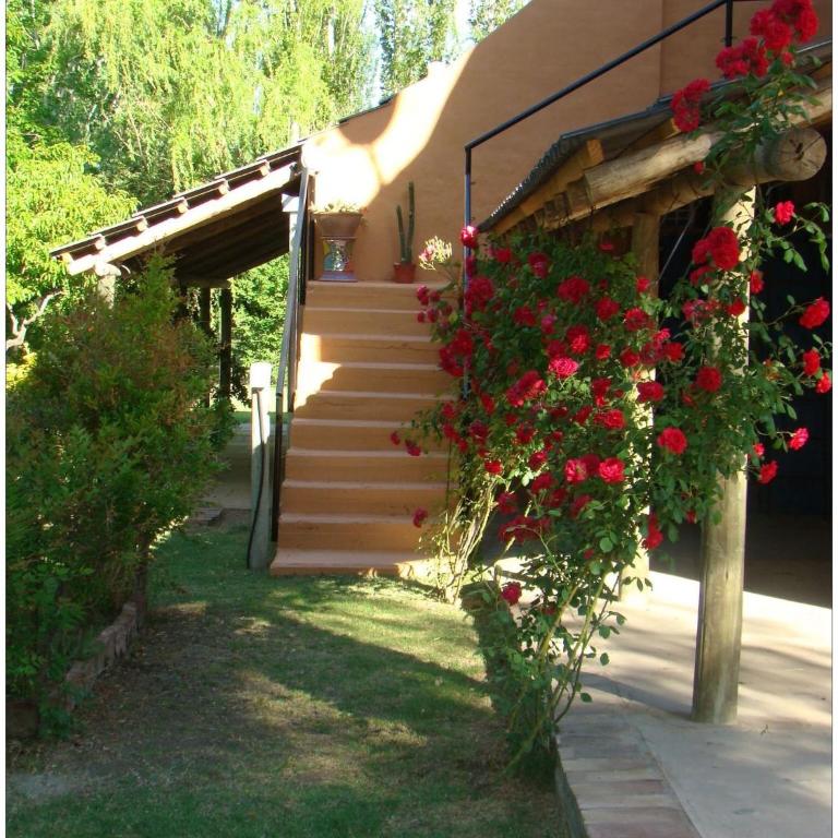 Establecimiento Rural El Chañar - Bungalow Estándar - 2