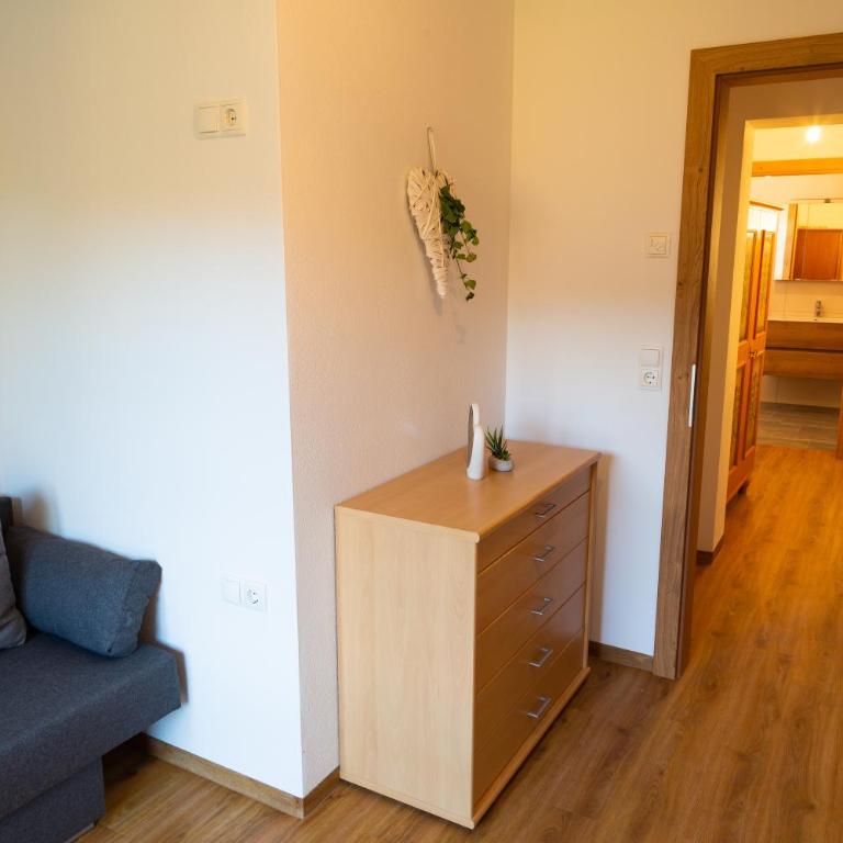 Vorderkreuzsaalgut - Apartment mit 1 Schlafzimmer - 6
