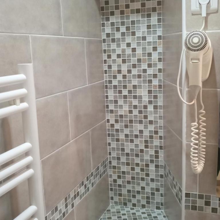 Hôtel De La Perdrix Rouge - Chambre Simple avec Douche - 6
