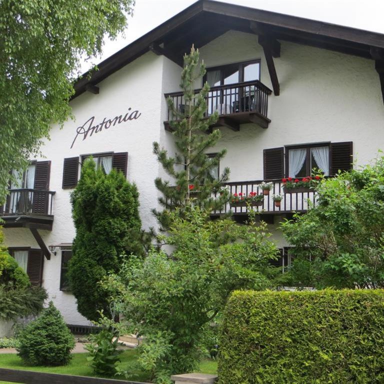 Gästehaus Antonia - Appartement - 1