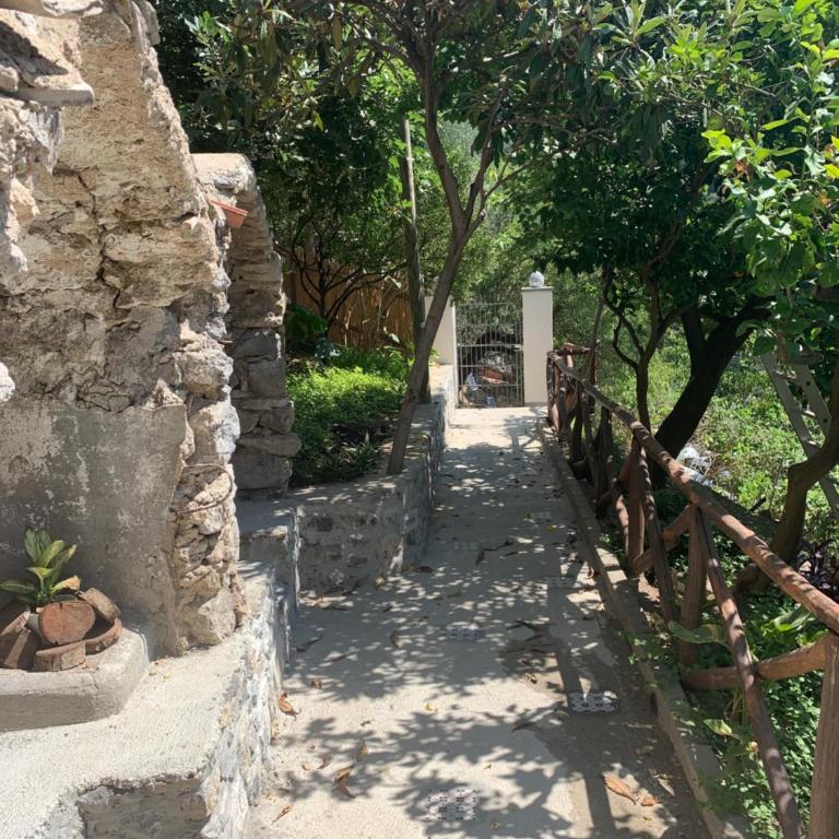 Maison Don Rafe' - Villa Deluxe - 16