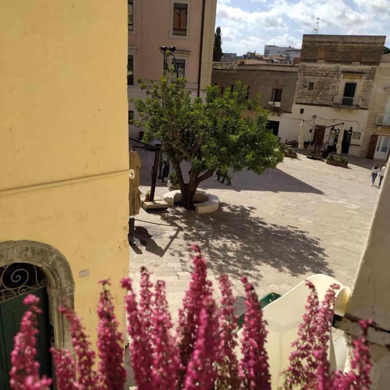 Casa vacanze San Giovanni nei Sassi - Casa Vacanze - 38