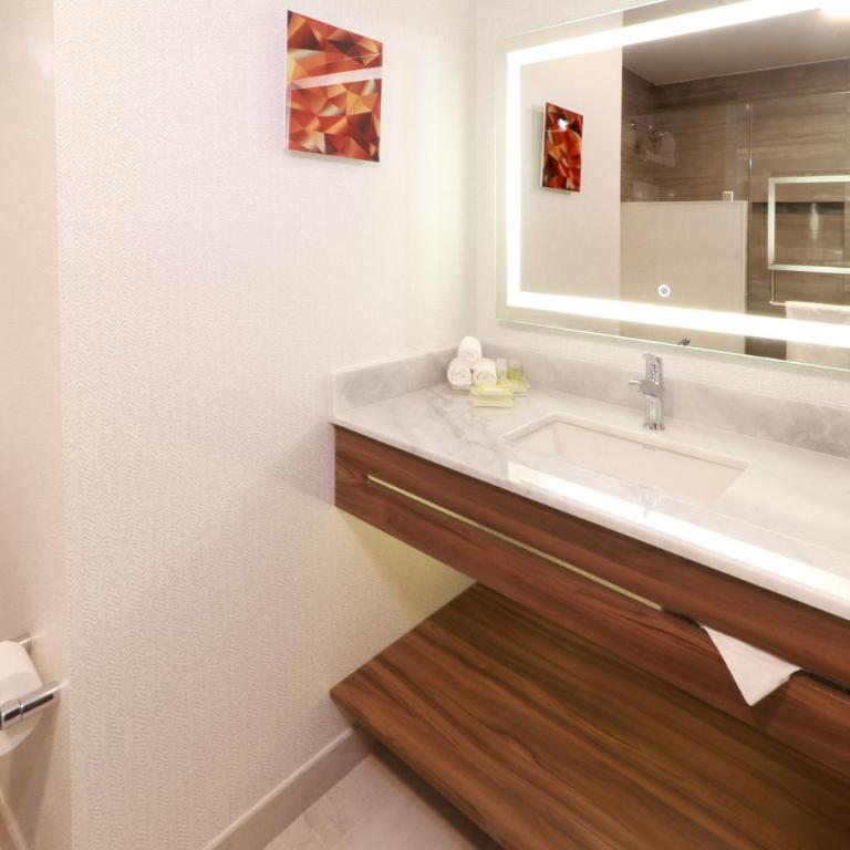 Holiday Inn & Suites Monterrey Apodaca Zona Airport, an IHG hotel - Habitación Estándar - Cama extragrande - 2