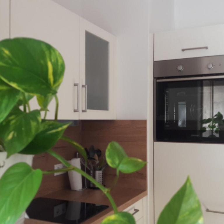 Ferienhaus Gerlach - Apartment - 18
