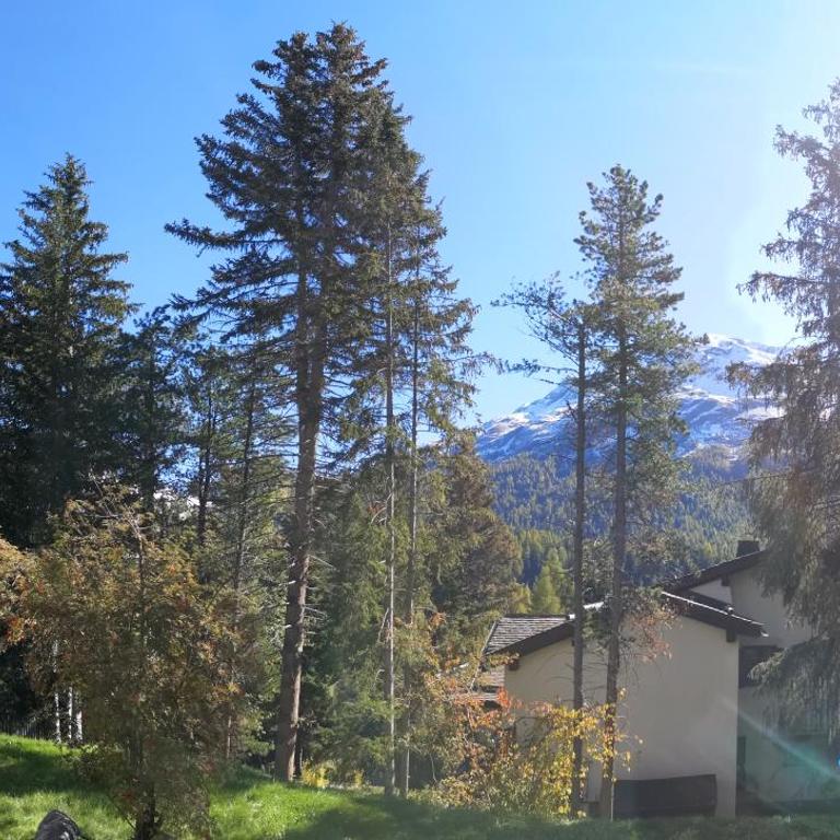 Sankt Moritz Dorf Charme Apartment - Apartment mit 2 Schlafzimmern - 17