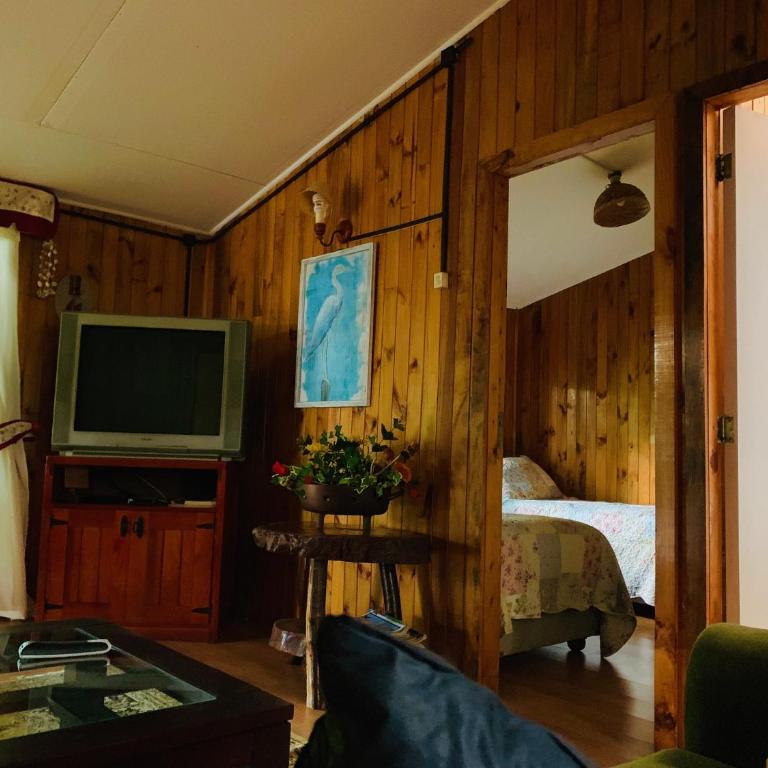 Cabaña Las Patagüas - Coñaripe - Casa de 4 dormitorios - 13