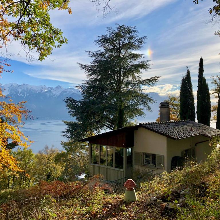 Lavaux Lodge - Romantic escape with magic views! - Villa mit Gartenblick - 18