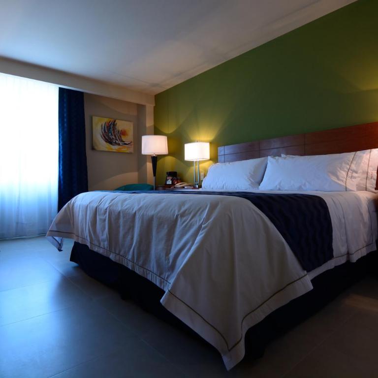 Holiday Inn Express Cabo San Lucas by IHG - Habitación Estándar con cama extragrande y espacio adicional - 6