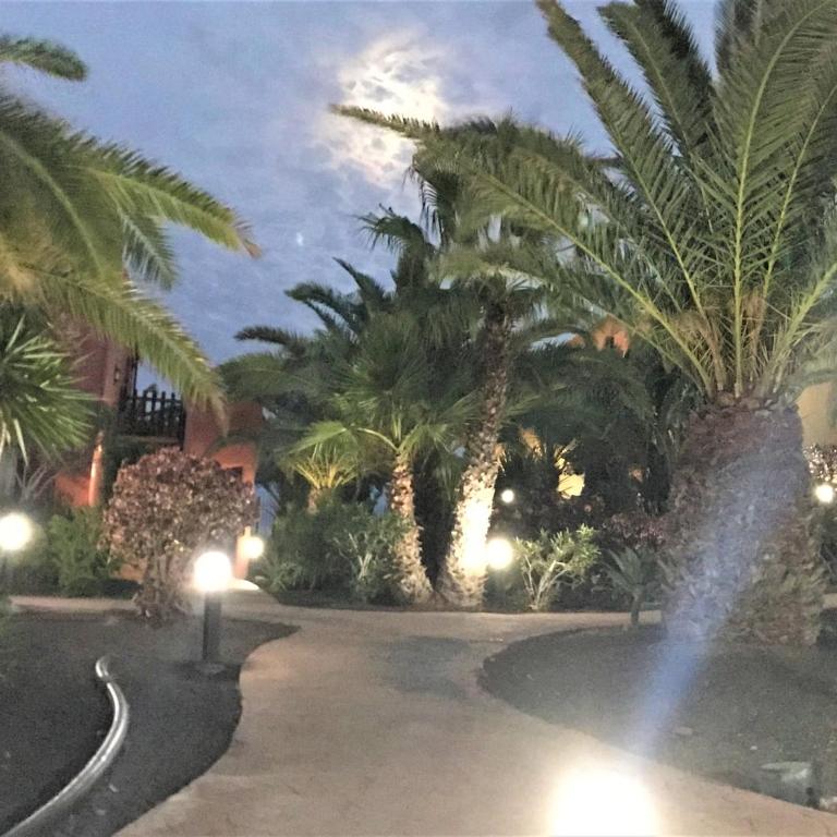 MY PRETTY HOME - Lovely and spacious surrounded by tropical gardens - private covered and uncovered terrace - pool - parking - FREE FIBRE OPTIC INTERNET - Apartamento con vistas a la piscina - 41