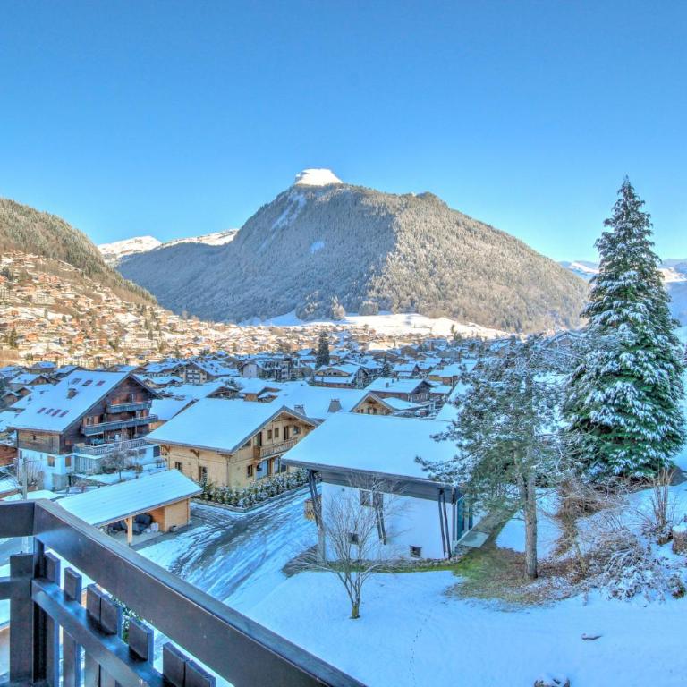 Pleney Apartment - Snow and Trek- Morzine - Apartment - 23