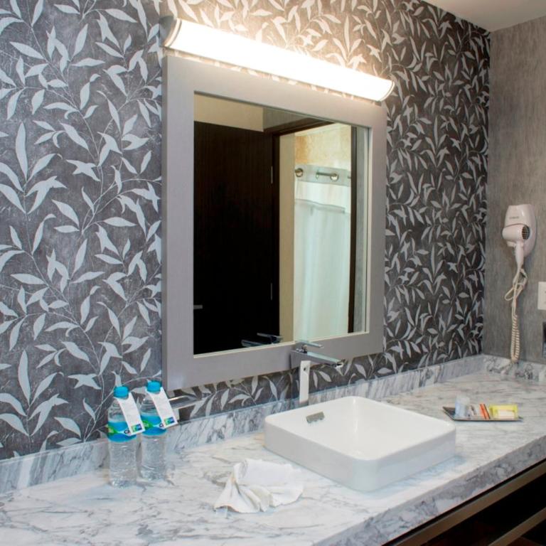Holiday Inn Express & Suites Queretaro by IHG - Specialty Room - 3
