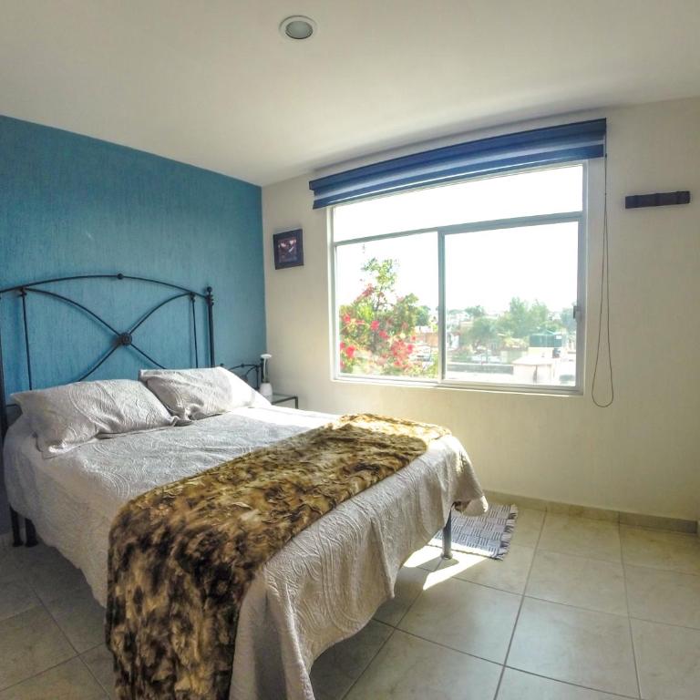 Hospedaje Tlaquepaque - Apartamento - 19