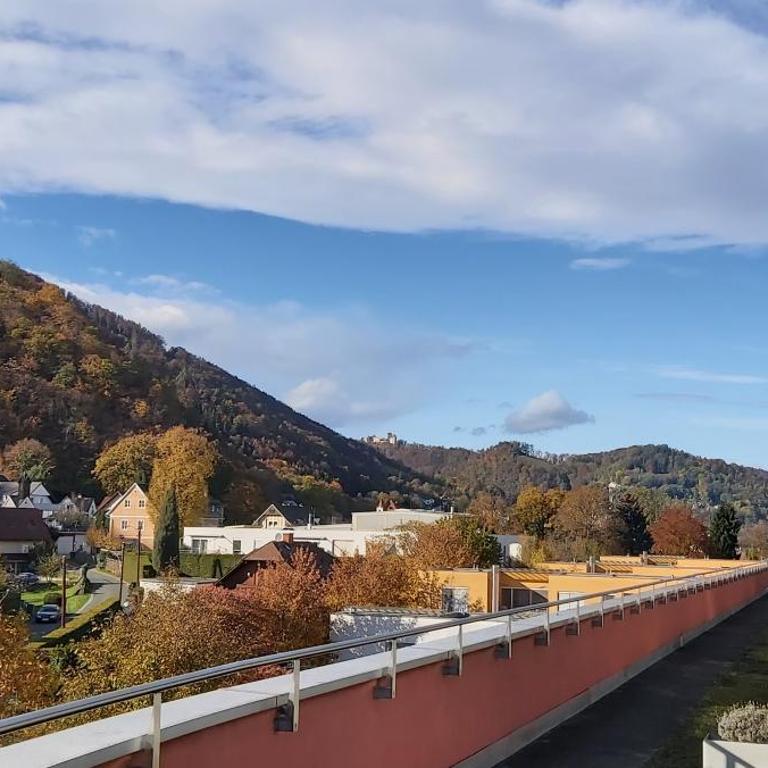 Hotel Bokan Exclusiv - Doppelzimmer mit Terrasse - 9