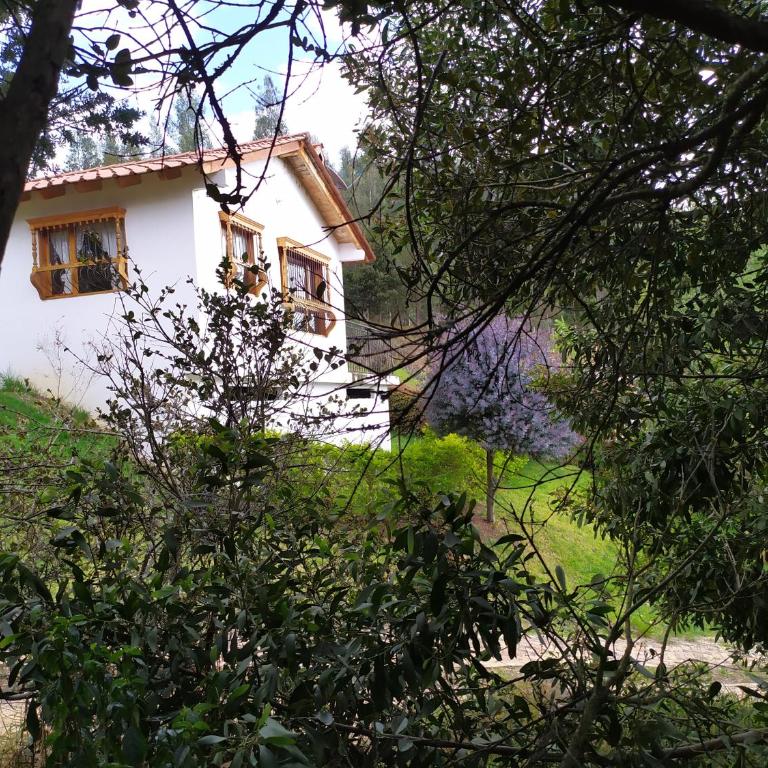 Cabañas Campestres Alcalá - Chalet de 3 dormitorios - 5