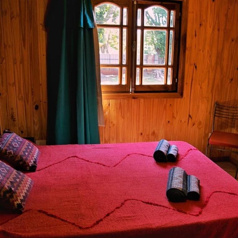 FRIDA - Apartamento de 1 dormitorio - 3