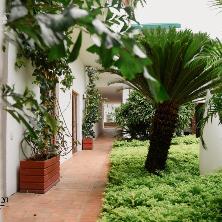 Virrey Eslava 120 Luxury Guesthouse - Two-Bedroom Apartment - 62