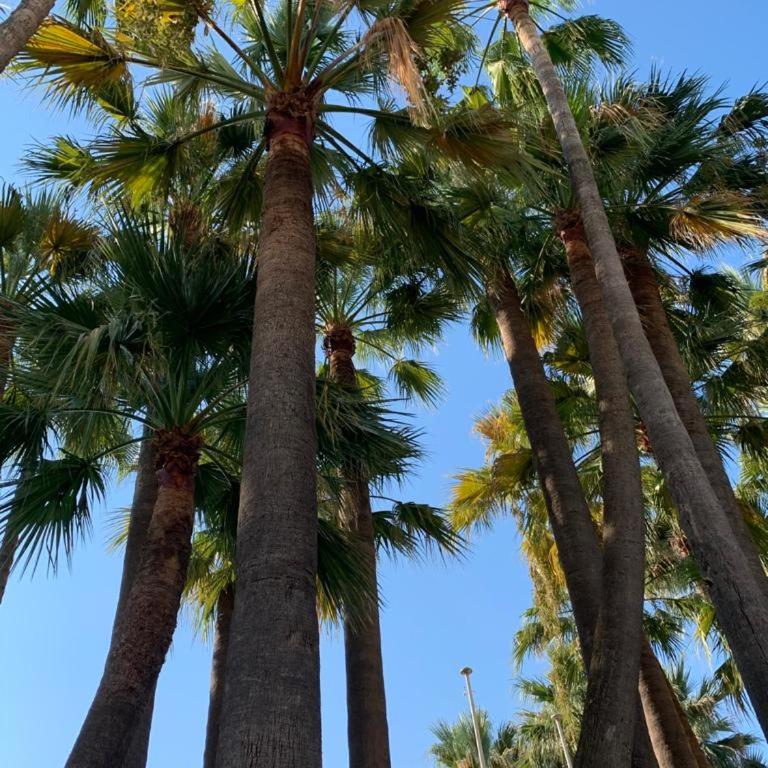 Cannes Old Port, SEAFRONT & SEAVIEWS - Appartement - Vue sur Mer - 41