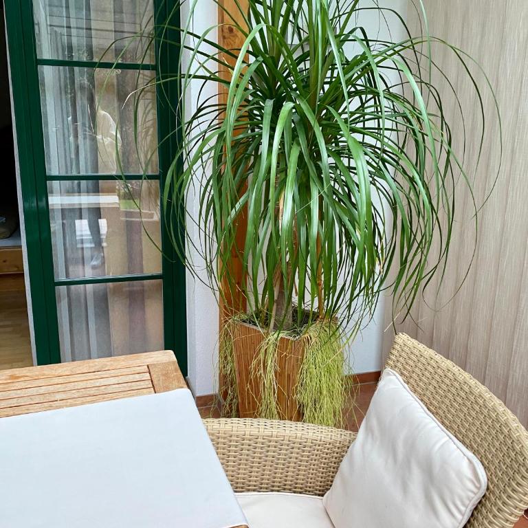 Haus Diana - Apartment - 7