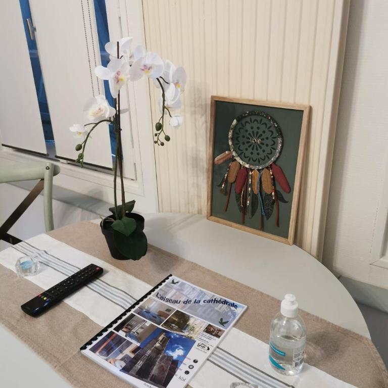 L'Oiseau De La Cathédrale - Calme - Jardin - Wifi - Apartment mit 1 Schlafzimmer - 13