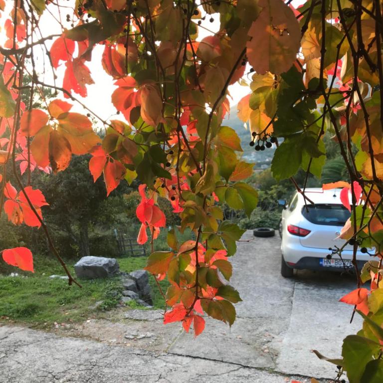 Etno village Mihailovic II - One-Bedroom Apartment - 70
