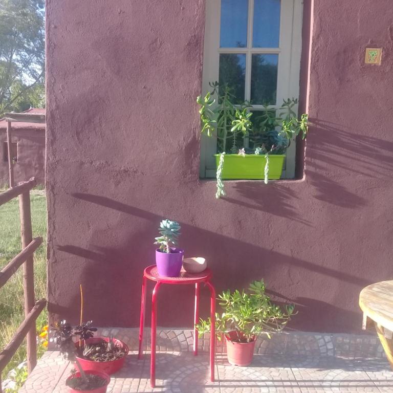El Cardón,habitación privada en el campo - Double Room - 2