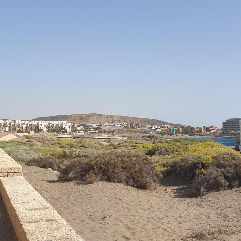 El Médano PlayaMar - Apartamento de 1 dormitorio - 22