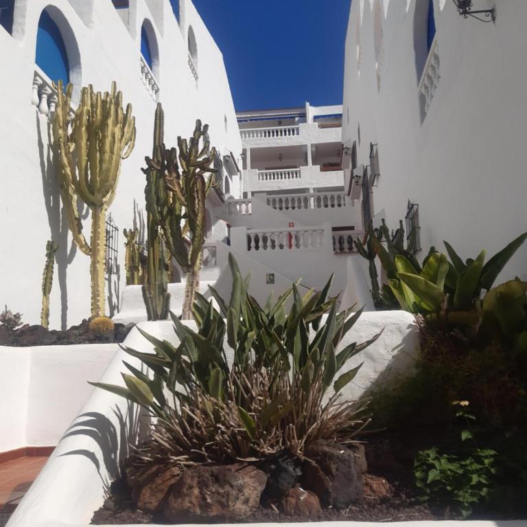 Sunny Tenerife, Los Cristianos, Studio - Apartamento de 1 dormitorio - 7