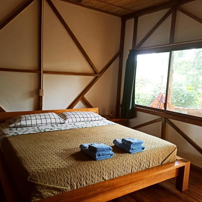 Rio Napo Lodge - Habitación Deluxe con cama extragrande - 5