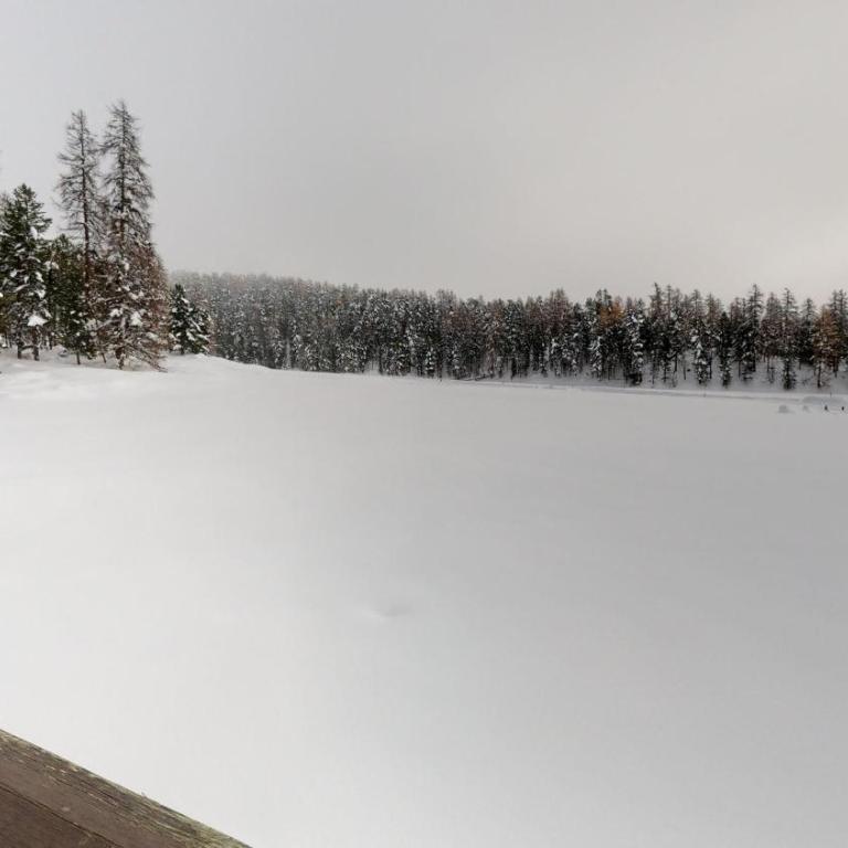 Abitaziun Trais Tschiervs D5 - Champfèr - Apartment mit Blick auf die Berge - 12