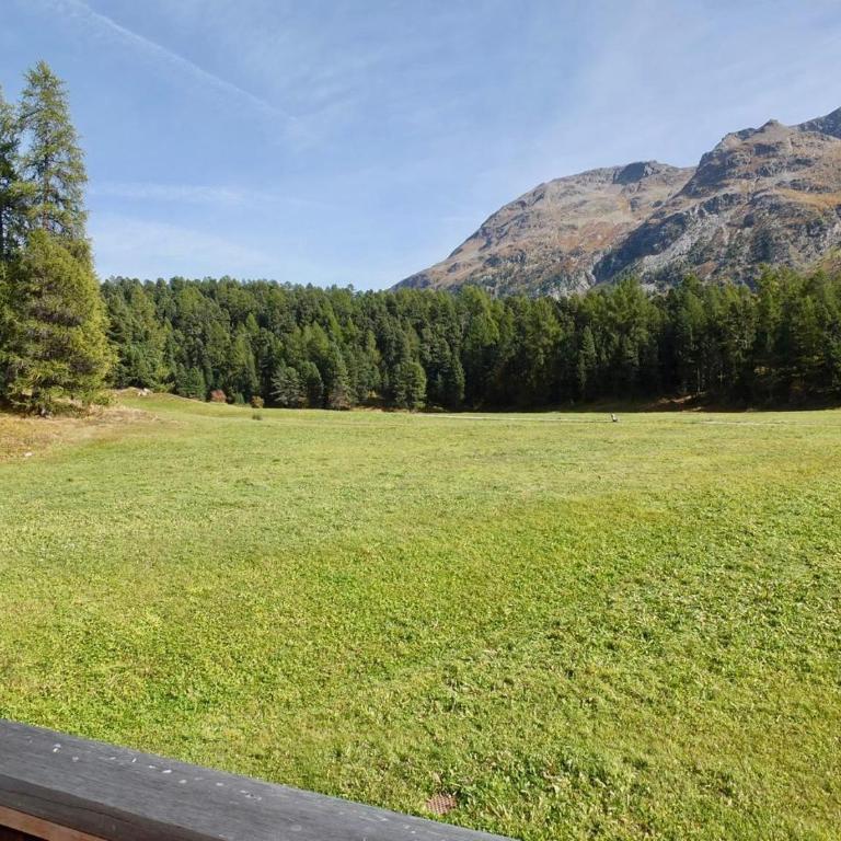 Abitaziun Trais Tschiervs D5 - Champfèr - Apartment mit Blick auf die Berge - 14