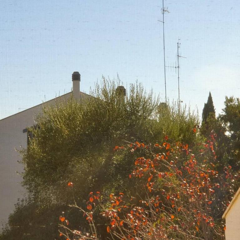 Apulia Time - Standard Single Room with Shared Bathroom - 6