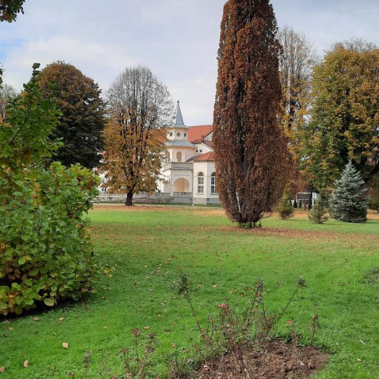 Apartman Mila, Banja Koviljača - Apartman sa 1 Spavaćom Sobom - 22