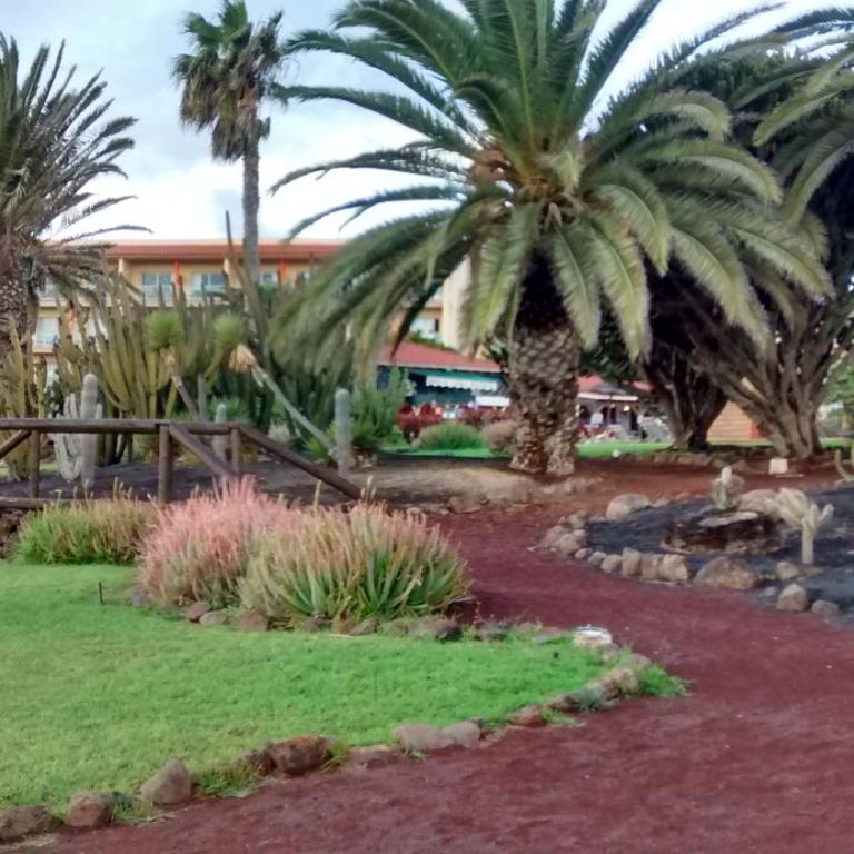 Le Poulpe bleu Fuerteventura chic and relax - Apartamento de 2 dormitorios - 33