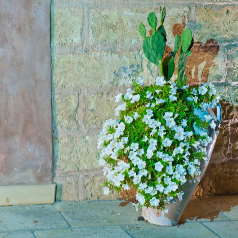 Antica Masseria Rottacapozza - Suite Familiare - 6