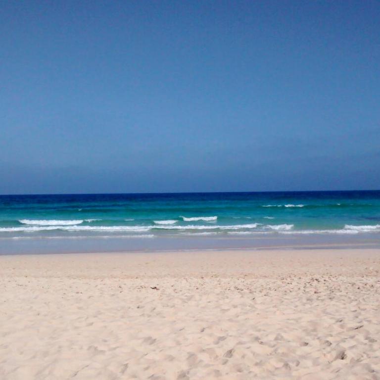 Le Poulpe bleu Fuerteventura chic and relax - Apartamento de 2 dormitorios - 36