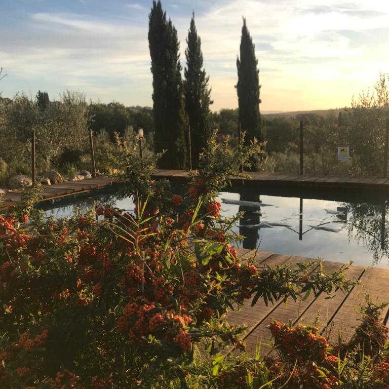 B&B Il Pettirosso di Siena - Appartamento con 1 Camera da Letto - 14
