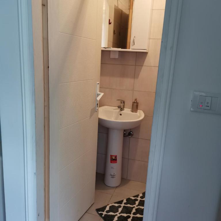 Studio Milica - Apartman sa 1 Spavaćom Sobom - 34