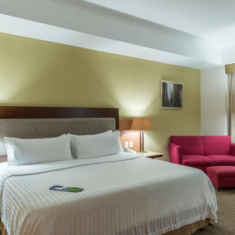 Holiday Inn Guadalajara Select by IHG - Habitación Premium con cama extragrande y bañera y ducha combinadas - 1