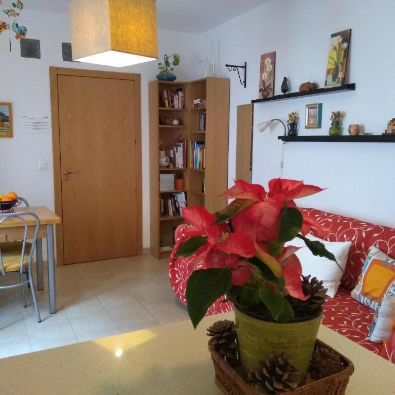 Apartamento San Agustín - Apartamento - 13