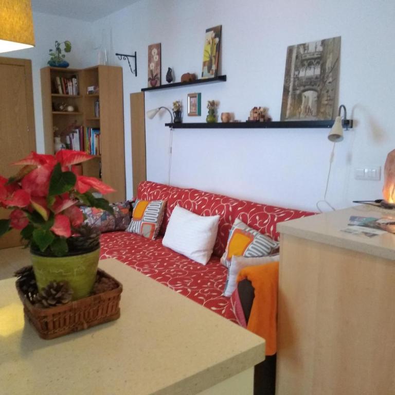 Apartamento San Agustín - Apartamento - 14