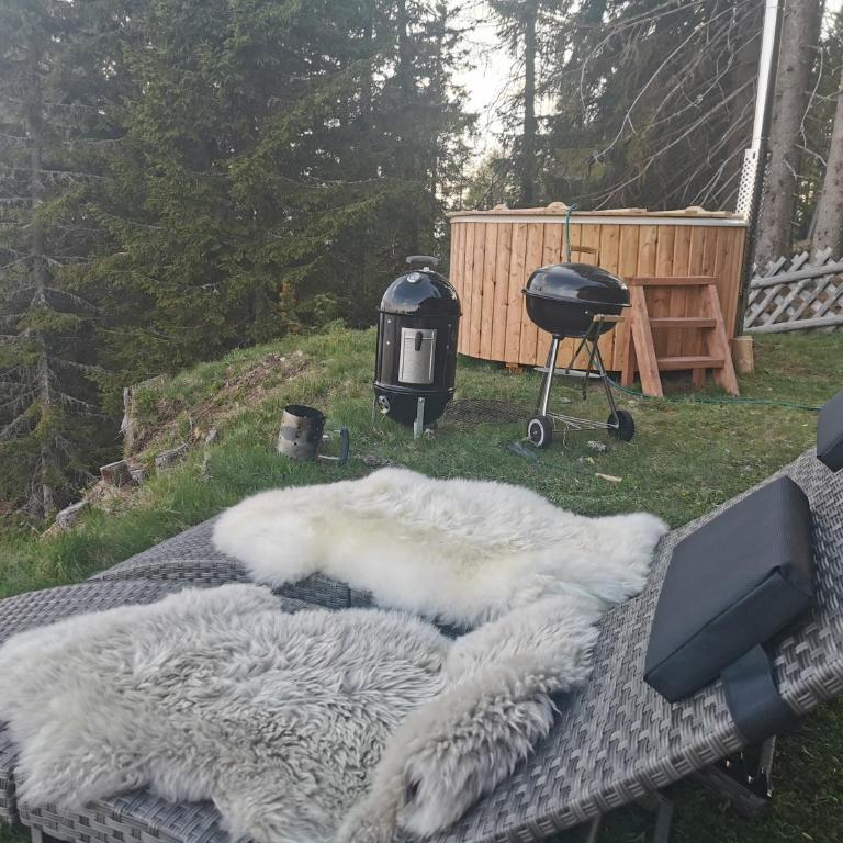 Chalet Petit - Chalet mit 1 Schlafzimmer - 41
